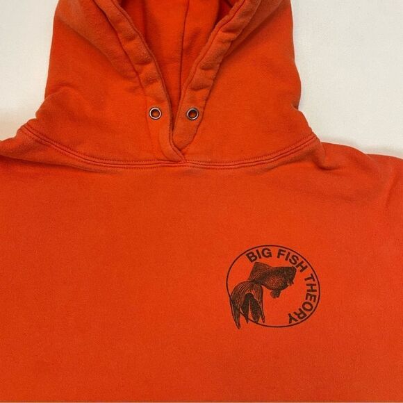 Vince Staples Big Fish Theory Graphic Pullover Hoodie 2018 Tour Men Small Music - Picture 2 of 8